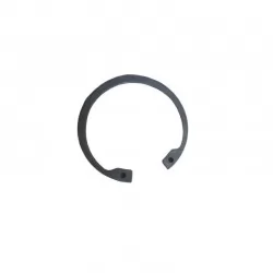 Tata İndica-İndigo-Marina-Ön Teker Bilya Segmanı